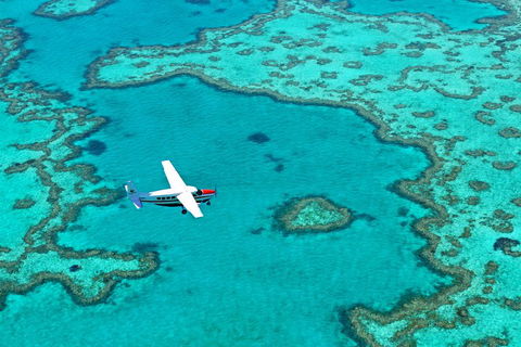 Fly & Sail Package (With Providence) - Accommodation Sunshine Coast 4