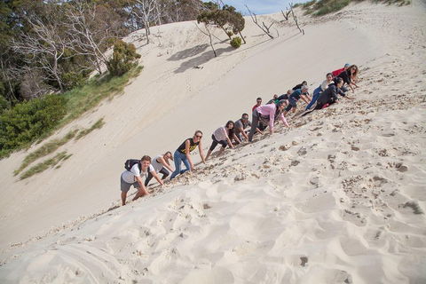 6-Day Tasmanian Explorer Adventure Tour From Hobart - Accommodation Sunshine Coast 2