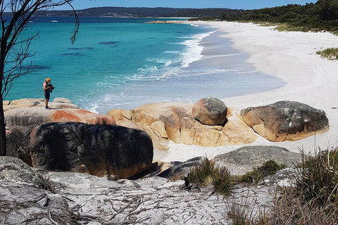 2-Day Tas East Coast Escape Tour Including Bay Of Fires, Wineglass Bay & Devils - Accommodation Sunshine Coast 4