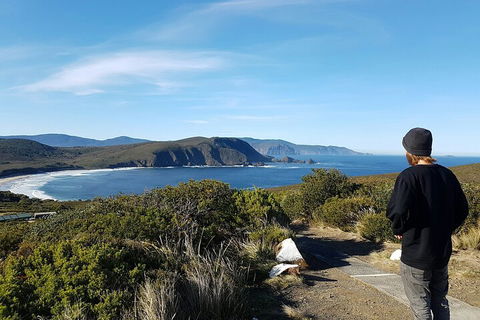 4-Day Fabulous Tasmania Tour: Wineglass Bay, Port Arthur, Devils & Bruny Island - Accommodation Sunshine Coast 0