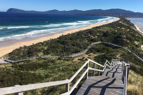 4-Day Fabulous Tasmania Tour: Wineglass Bay, Port Arthur, Devils & Bruny Island - Accommodation Sunshine Coast 5