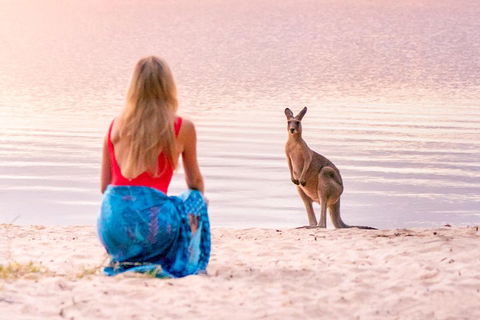 Serenity Cruise To Australia's Everglades - Accommodation Sunshine Coast 3