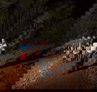 Alice Springs Desert Park Nocturnal Tour - Accommodation Sunshine Coast