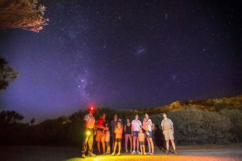 Alice Springs Desert Park Nocturnal Tour - Accommodation Sunshine Coast 2