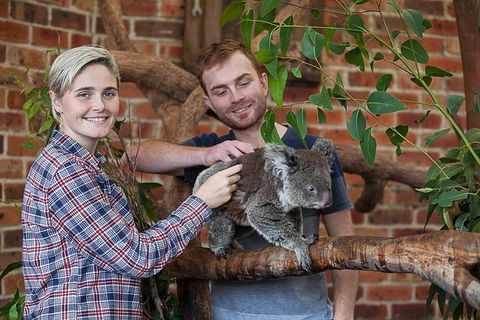 Private Tour: Blue Mountains Day Trip From Sydney - Accommodation Sunshine Coast 0