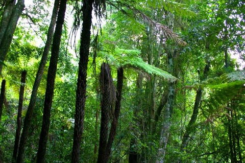 Private Tour: Blue Mountains Day Trip From Sydney - Accommodation Sunshine Coast 4