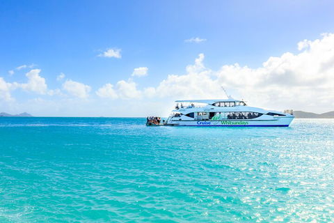 Whitehaven Beach And Daydream Island Cruise - Accommodation Sunshine Coast 2