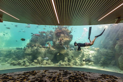 Whitehaven Beach And Daydream Island Cruise - Accommodation Sunshine Coast 4