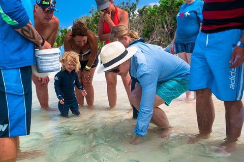 Whitehaven Beach And Hamilton Island Cruise - Accommodation Sunshine Coast 1