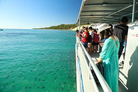 Adventure Moreton Island Wrecks Adventure Package - Accommodation Sunshine Coast 1