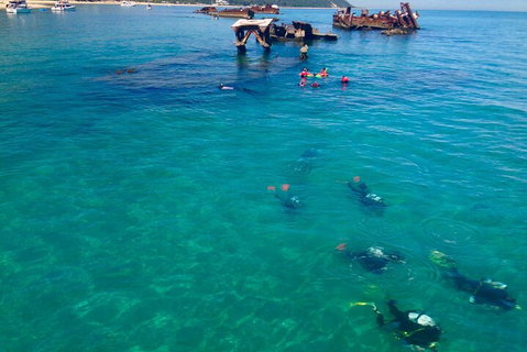 Adventure Moreton Island Scuba Dive Tour - Accommodation Sunshine Coast 0