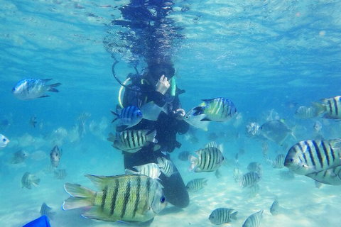 Adventure Moreton Island Scuba Dive Tour - Accommodation Sunshine Coast 1