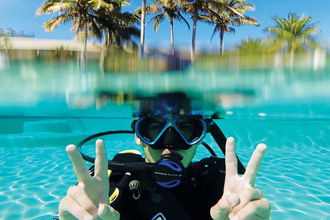 Adventure Moreton Island Scuba Dive Tour - Accommodation Sunshine Coast 2