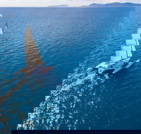 2-Night Whitsunday Islands Sailing Adventure on Trimaran Avatar - Accommodation Sunshine Coast
