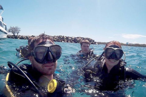 Wave Break Island Scuba Diving On The Gold Coast - Accommodation Sunshine Coast 0