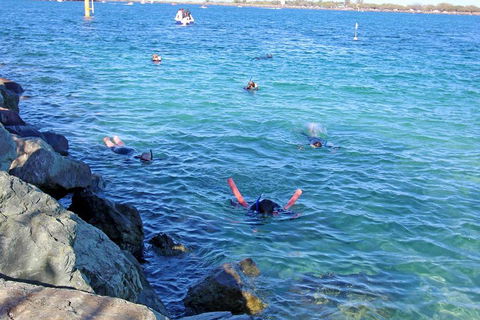 Wave Break Island Scuba Diving On The Gold Coast - Accommodation Sunshine Coast 1