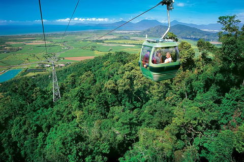 Cairns ATV Adventure Tour And Morning Skyrail - Accommodation Sunshine Coast 2