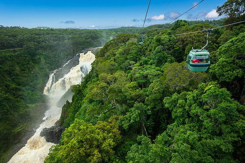 Cairns ATV Adventure Tour And Morning Skyrail - Accommodation Sunshine Coast 3