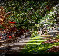 Fully Inclusive Blue Mountains Private Tour inc Scenic World  Featherdale entry - Accommodation Sunshine Coast