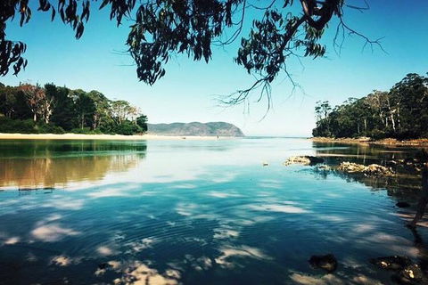 Full-Day Guided Bruny Island Tour From Hobart - Accommodation Sunshine Coast 1