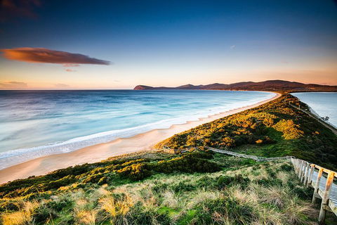 Full-Day Guided Bruny Island Tour From Hobart - Accommodation Sunshine Coast 2