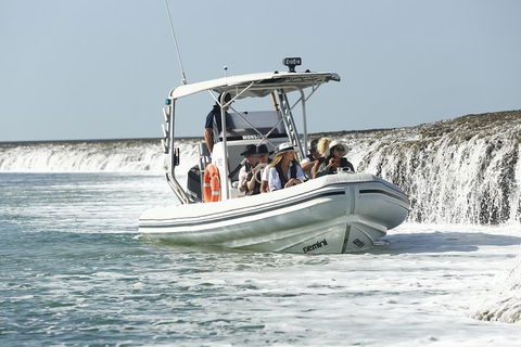 Cygnet Bay Explorer - Accommodation Sunshine Coast 2