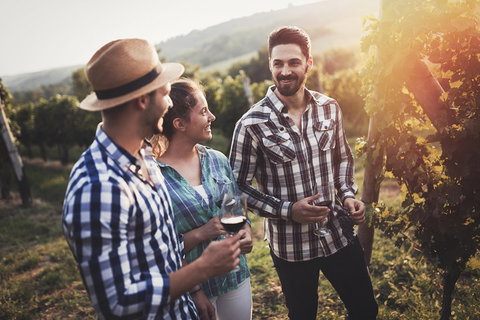 Full Day Mount Tamborine Winery Tour From Gold Coast - Accommodation Sunshine Coast 5
