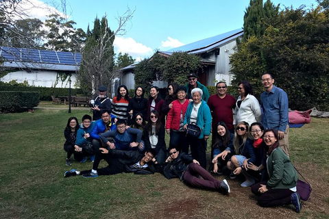 Full Day Mount Tamborine Winery Tour From Brisbane - Accommodation Sunshine Coast 2