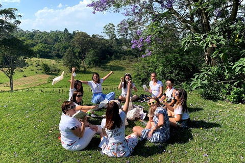 Full Day Mount Tamborine Winery Tour From Brisbane - Accommodation Sunshine Coast 4