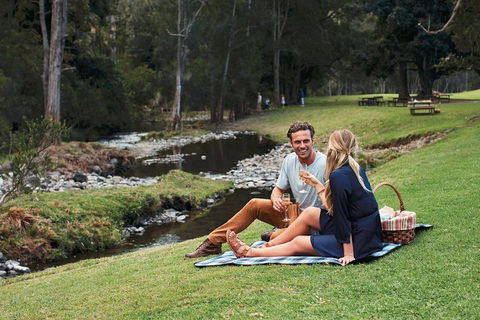 Mt Tamborine - Hinterland Wonders Self Guided - Accommodation Sunshine Coast 0