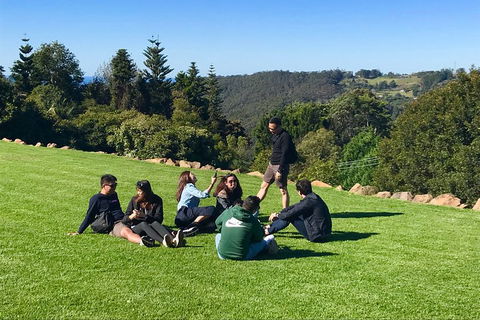 Mt Tamborine - Hinterland Wonders Self Guided - Accommodation Sunshine Coast 1