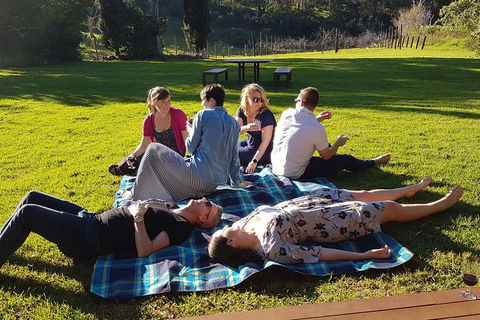 Mt Tamborine - Hinterland Wonders Self Guided - Accommodation Sunshine Coast 2