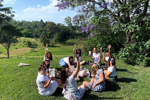 Mt Tamborine - Hinterland Wonders Self Guided - Accommodation Sunshine Coast 5