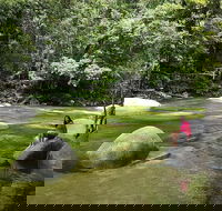 Daintree Dreaming Traditional Aboriginal Fishing from Cairns or Port Douglas - Accommodation Sunshine Coast