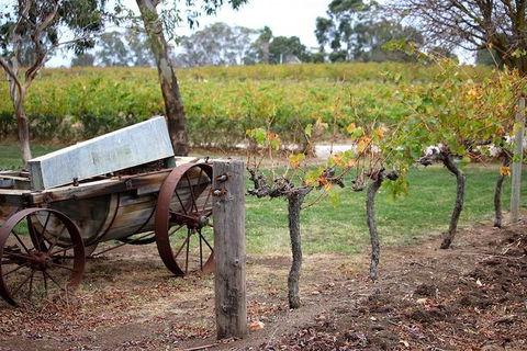 Maggie Beer Farm - Barossa Valley Regional Tour - Accommodation Sunshine Coast 1