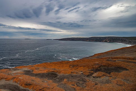 Kangaroo Island Luxury Small Group 'Flinders Chase Focus' Full Day Tour - Accommodation Sunshine Coast 0