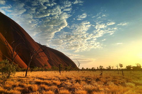 Highlights Of Uluru Including Sunrise And Breakfast - Accommodation Sunshine Coast 0