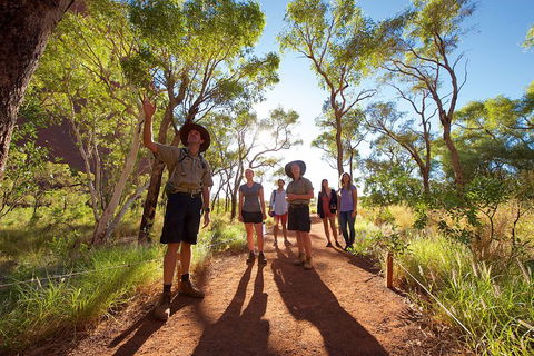 Uluru Small Group Tour Including Sunset - Accommodation Sunshine Coast 0