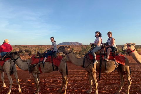 Uluru Small-Group Tour By Camel At Sunrise Or Sunset - Accommodation Sunshine Coast 2
