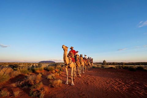 Uluru Small-Group Tour By Camel At Sunrise Or Sunset - Accommodation Sunshine Coast 3