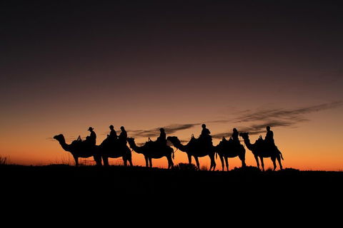 Uluru Small-Group Tour By Camel At Sunrise Or Sunset - Accommodation Sunshine Coast 4