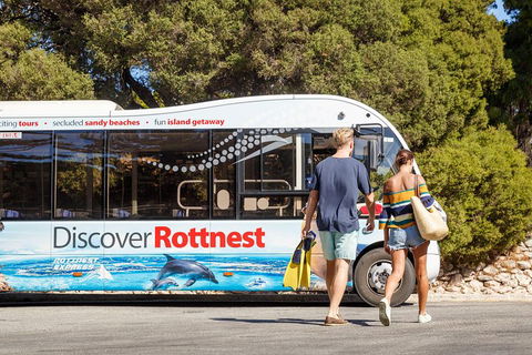 Discover Rottnest With Ferry & Bus Tour From Perth Or Fremantle - Accommodation Sunshine Coast 1
