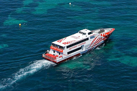Discover Rottnest With Ferry & Bus Tour From Perth Or Fremantle - Accommodation Sunshine Coast 3