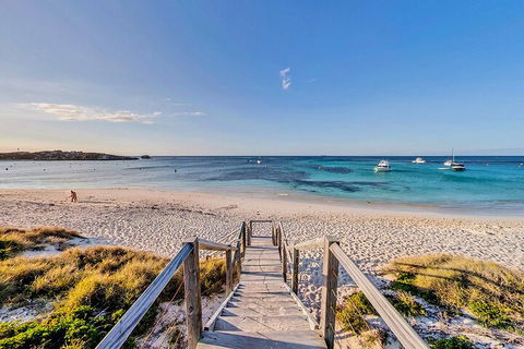 Discover Rottnest With Ferry & Bus Tour From Perth Or Fremantle - Accommodation Sunshine Coast 4