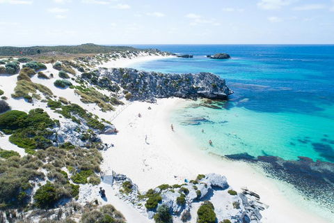 Discover Rottnest With Ferry & Bus Tour From Perth Or Fremantle - Accommodation Sunshine Coast 5