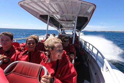 Adventure Rottnest Tour With Ferry & Adventure Cruise From Perth Or Fremantle - Accommodation Sunshine Coast 0