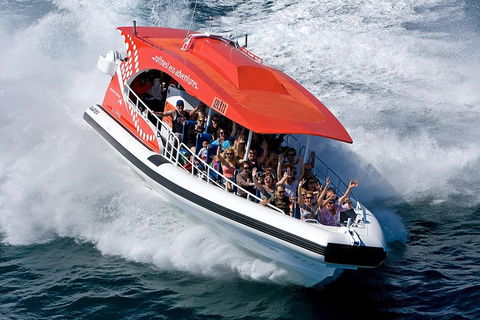 Adventure Rottnest Tour With Ferry & Adventure Cruise From Perth Or Fremantle - Accommodation Sunshine Coast 2