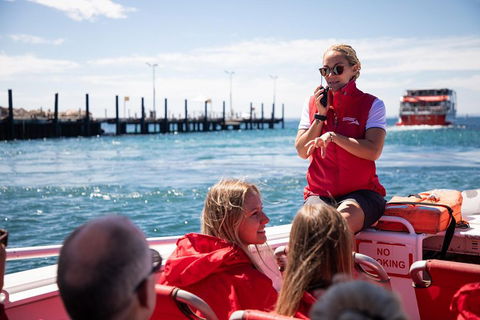 Adventure Rottnest Tour With Ferry & Adventure Cruise From Perth Or Fremantle - Accommodation Sunshine Coast 4