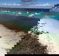 Experience Rottnest with Ferry  Bike Hire from Perth or Fremantle - Accommodation Sunshine Coast
