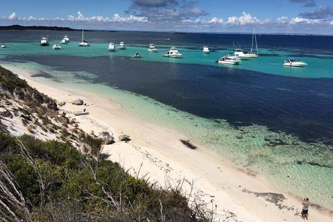 Experience Rottnest With Ferry & Bike Hire From Perth Or Fremantle - Accommodation Sunshine Coast 0